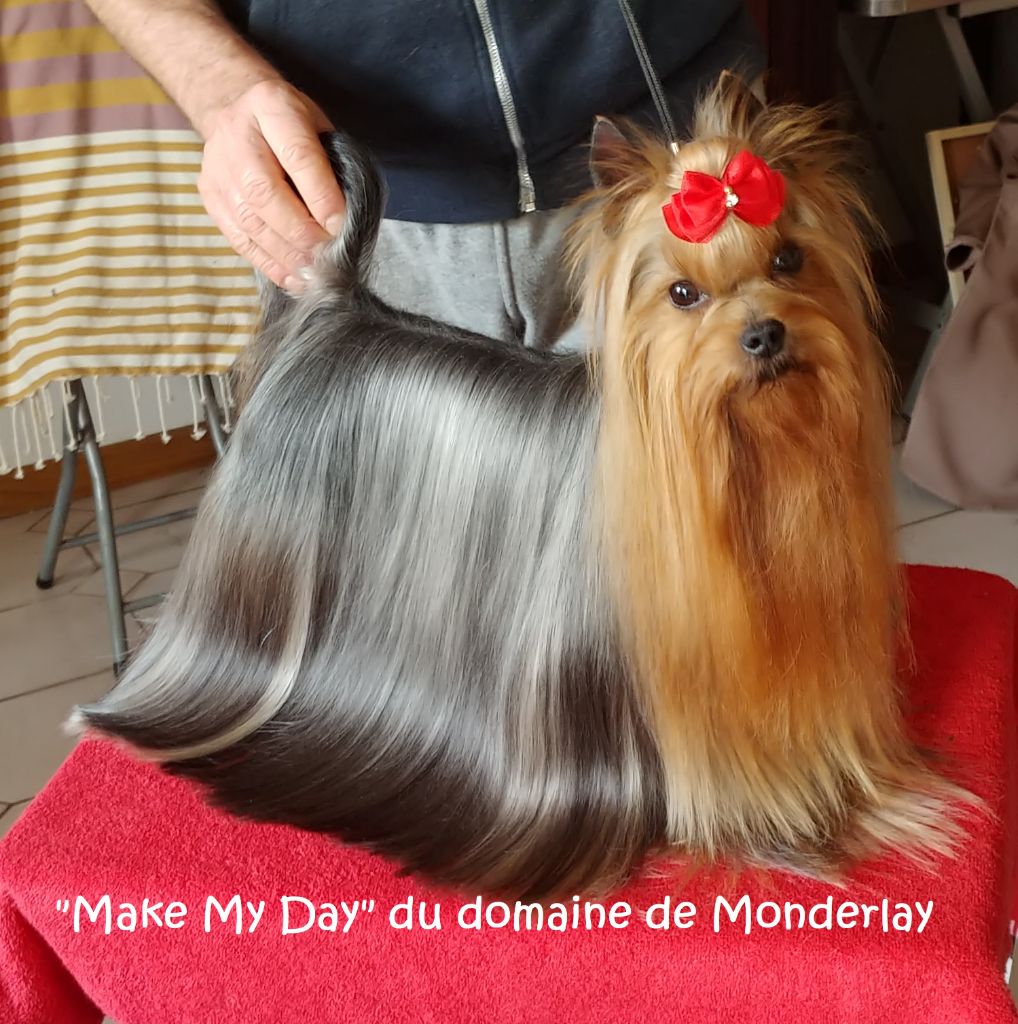 CH. Make my day Du domaine de monderlay